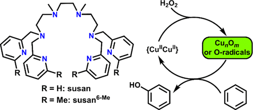 bhkenlo's tweet photo. Generation and Reactivity of μ-1,2-Peroxo CuIICuII and Bis-μ-oxo CuIIICuIII Species and Catalytic Hydroxylation of Benzene to Phenol with Hydrogen Peroxide | Inorganic Chemistry https://t.co/wR6owjPvgB Glaser and co-workers @InorgChem #copper #CuCu #peroxo #oxo #N4 #catalysis https://t.co/bqAzlBp1LW