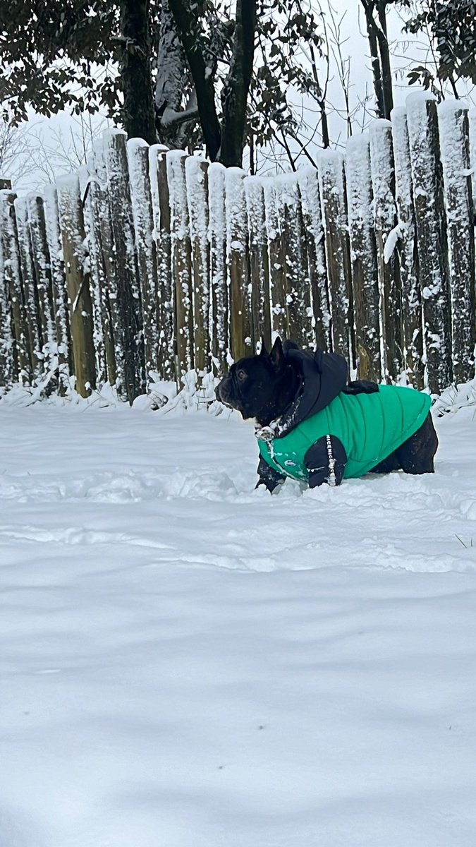 神馬 情況？🤡
老霸欸～美女們 呐⋯