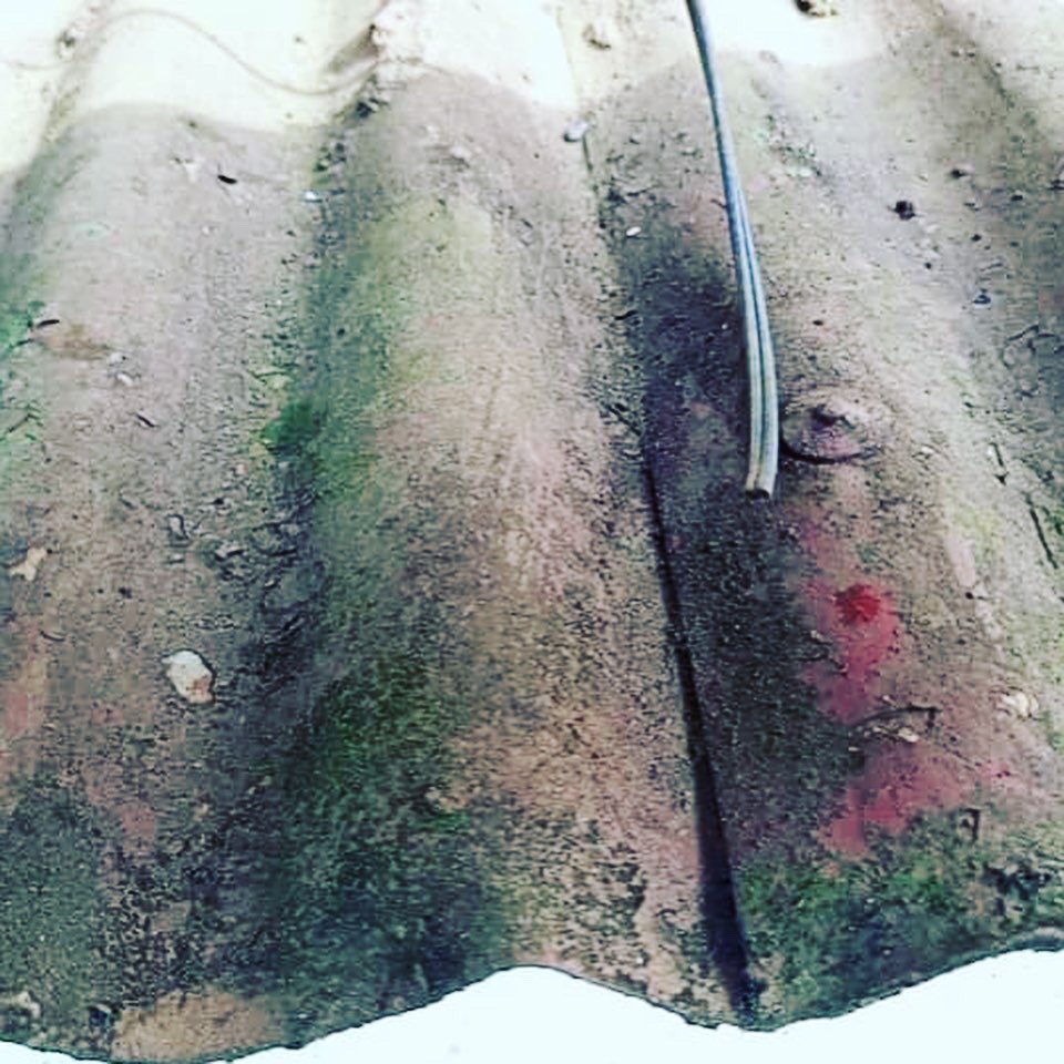 5starMobClean's tweet photo. Face lifting the Main house @ssazaKyadondo, you to can get your house roof cleaned at a tap of a finger.

Call us now, 0752565542 https://t.co/XHMA7CtzmT