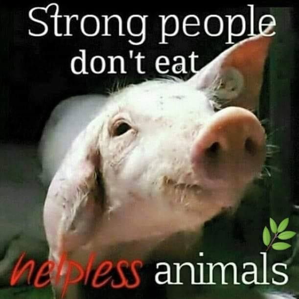 Strong people don't eat helpless animals. Go vegan.

#AnimalRights #CrueltyFree #VeganLife #CompassionOverCruelty #SaveAnimals #EthicalLiving #VoiceForTheVoiceless #EndAnimalCruelty #PlantBased #BeTheChange