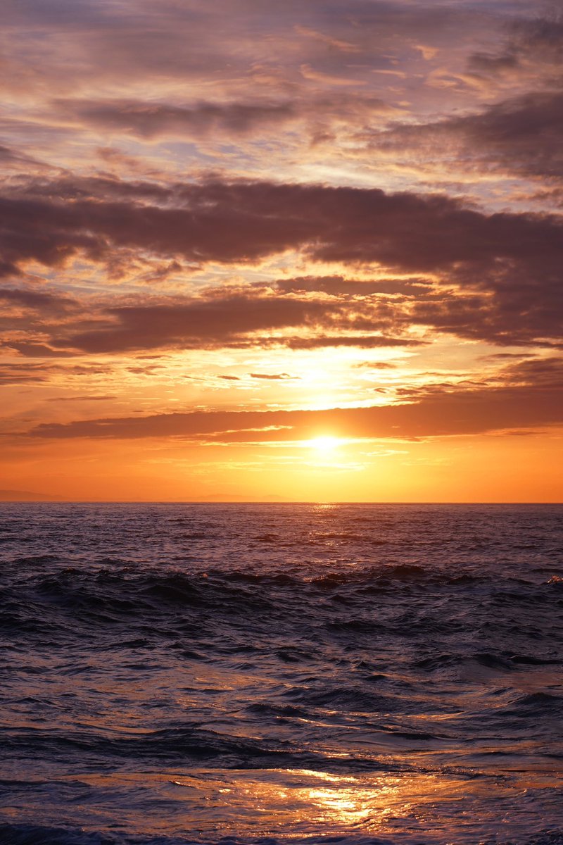 sightsofsierra's tweet photo. QT a sunset on sunday 🧡 https://t.co/dosiy2IRjx