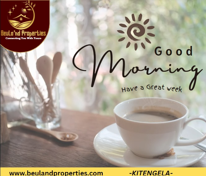 DennisBeuland's tweet photo. Treat yourself and your loved ones to the joy of savings this Njaanuary season!Our special deals are the perfect way to make your Future extra bright. 
#ritawaeni #Raila #MosesKuria #NikujaribuTu #Shindushindu #SHIF #MainaAndKingangi #Uhuru #Kiambaa https://t.co/erRIWsuEd0