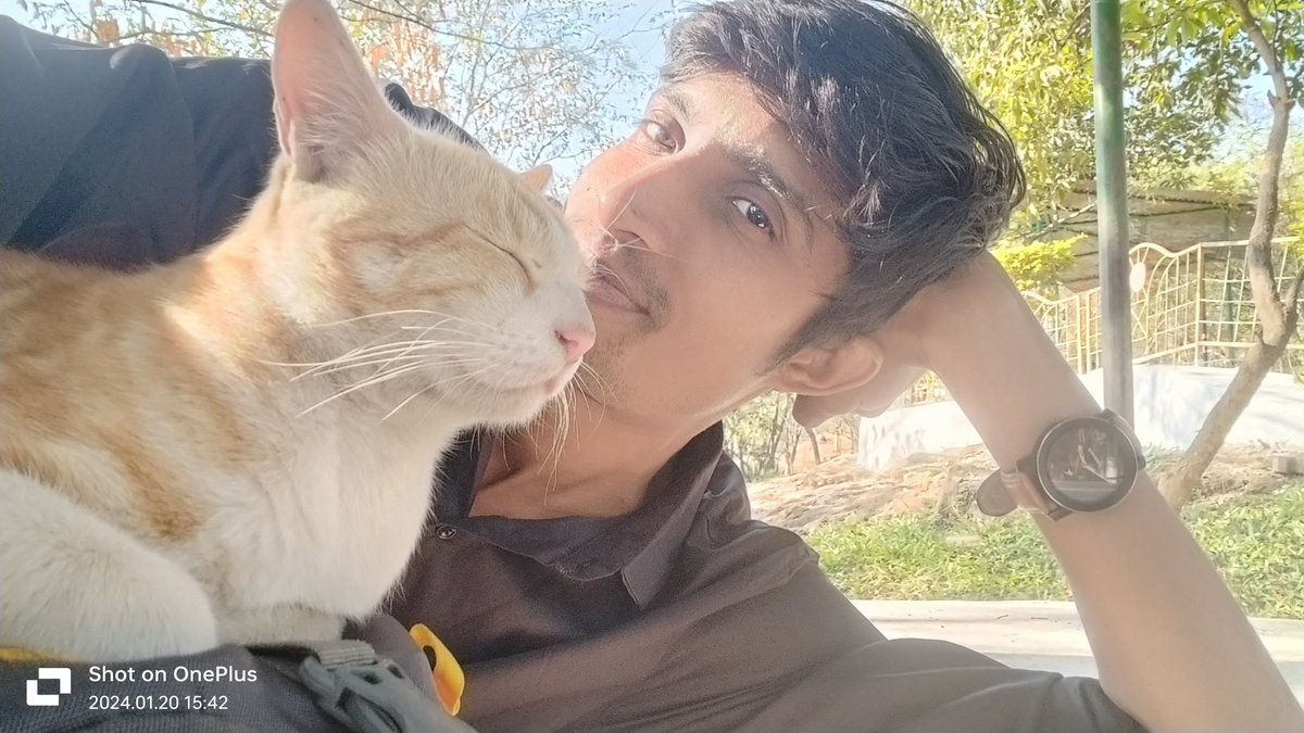 PrashantDhond_'s tweet photo. "Caught in a purr-fect moment with my feline friend! 🐾 Who needs personal space when you have a cat? 😸 #CatLife #FurryCompanion" https://t.co/cAJqeOngD1