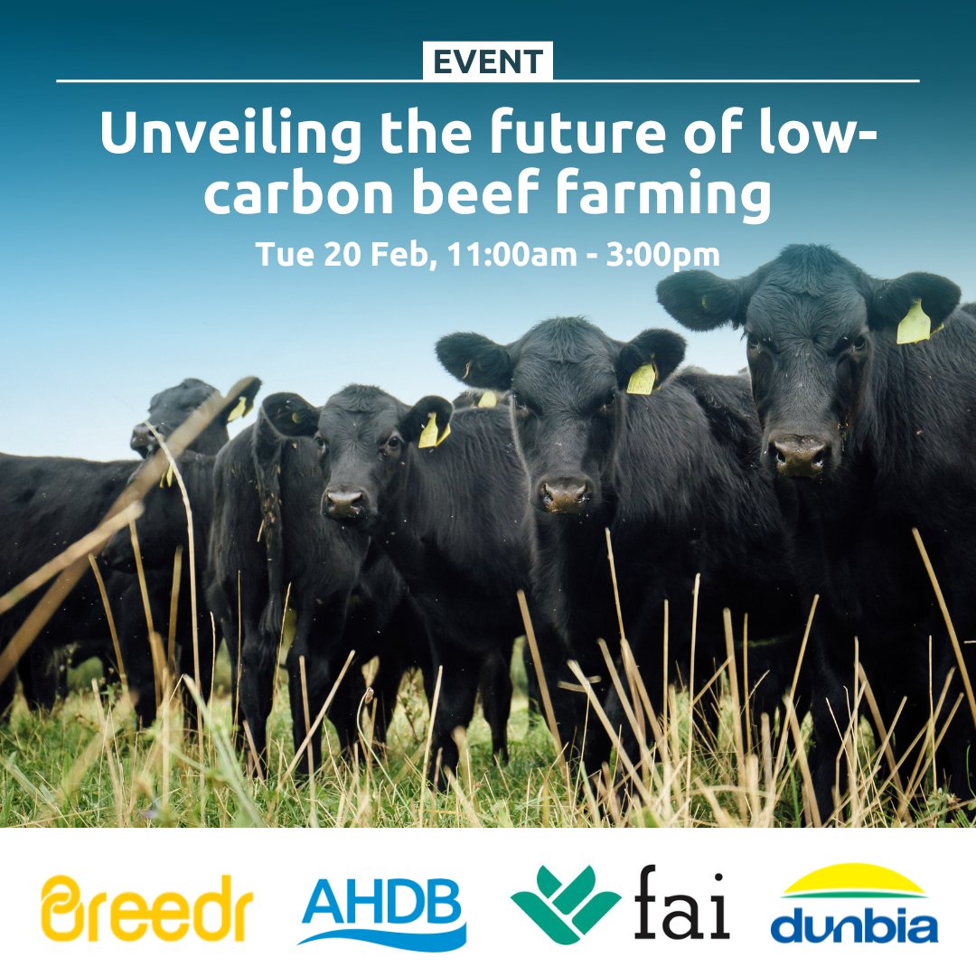 Join us for an insightful day at the Oxford FAI Farm where we will be showcasing the groundbreaking progress of 'bigger steps for smaller footprints towards climate-positive beef' Learn more: bit.ly/3Huf8AW #Farming #Lowcarbon @DunbiaGroup @innovateuk @_Breedr @TheAHDB