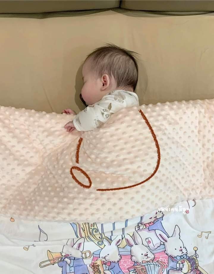 fatchinamonday's tweet photo. bean #fatchinesebaby https://t.co/MbMdQcBHEP