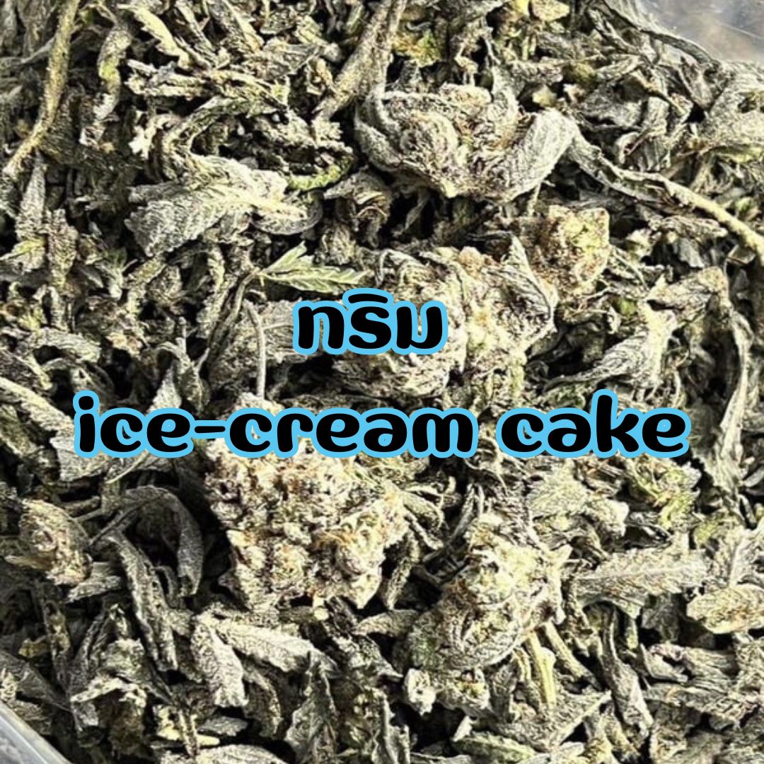 traptrap_31's tweet photo. ใบทริม ice-cream cake
ขีดละ 3,500
ราคาเร้าๆ 
สนใจDM 
หรือเข้ากลุ่ม https://t.co/QxbuXwRwhx
#กัญชาราคาถูก #ใบทริม #กัญชาog #กัญชาราคาส่ง #กัญชากทม #ขายกัญชา #กัญชา #โคราช #สุราษฎร์ธานี #CannabisCommunity https://t.co/QX9pLRoIYq