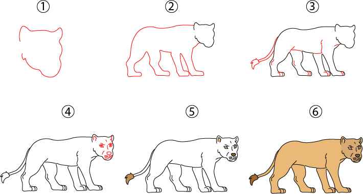 IdeaDrawing's tweet photo. Lioness Drawing: https://t.co/lbPCrbU3T3
.
.
.
.
#cooldrawing #cooldrawingideas #cooldrawingidea #cooldrawingeasy #easydrawingforkids #drawingforkids #kidsdrawing #drawing #draw #cutedrawing #easydrawing #stepbystepdrawing #kidsdrawing #Lionessdrawing https://t.co/l0IeIgg3y2