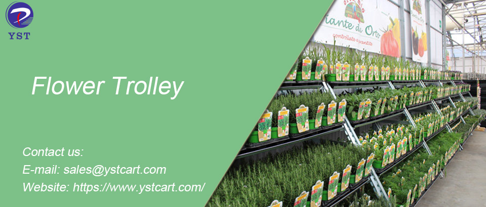 YstLogistics's tweet image. Looking for a professional way to showcase flowers? Check out the flower trolley. 
Contact us:
E-mail: sales@ystcart.com
Website: ystcart.com
#prodisplay #flowers #Danishtrolley
