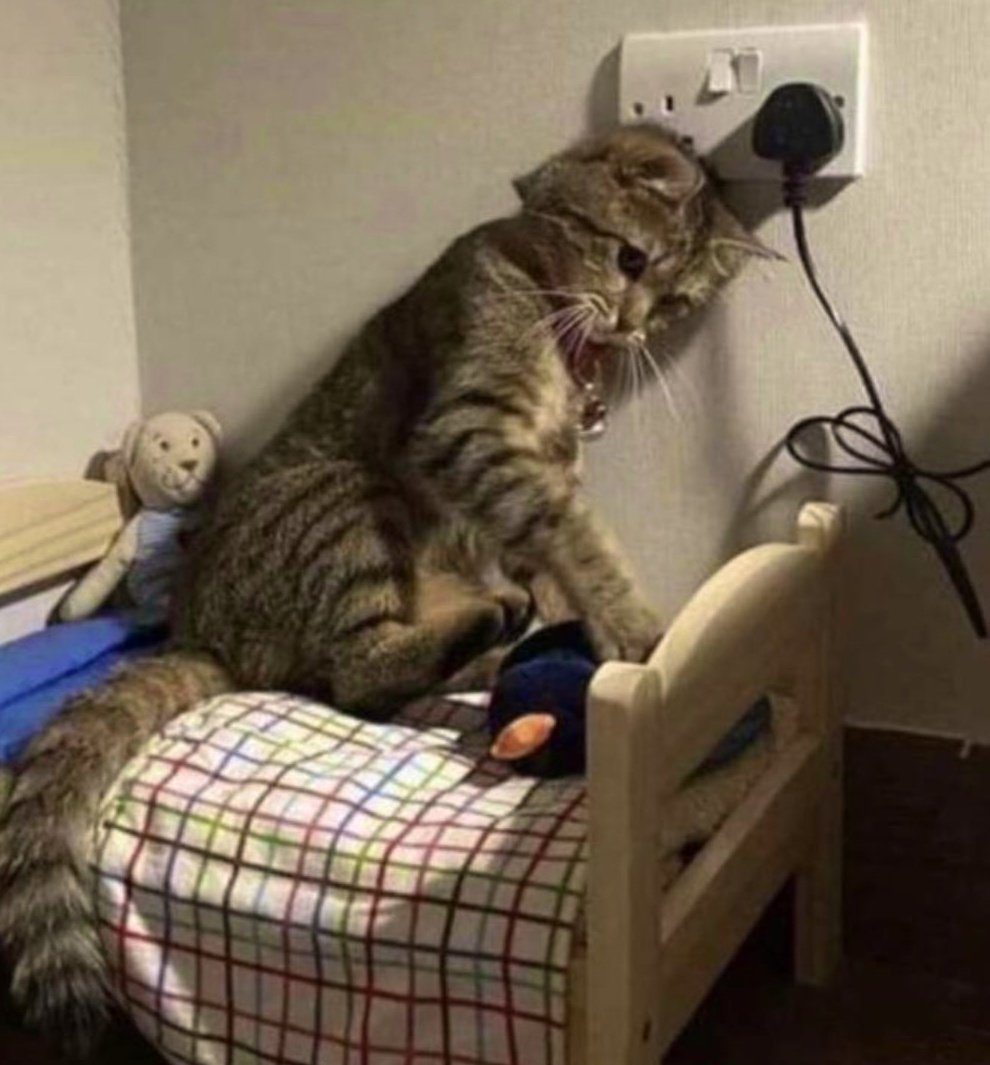 I want a man but I don't want kids.