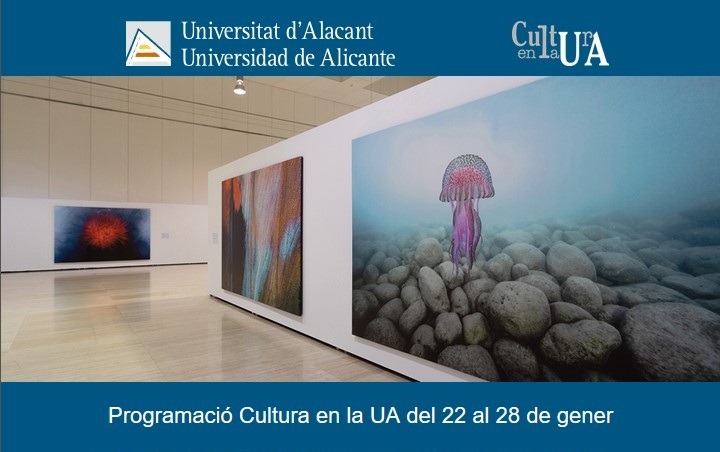 Cultura en la UA (@culturaenlaua) on Twitter photo ¿Qué ver y qué hacer esta semana en la UA? Consulta nuestro #ButlletíVEU ➡️ bit.ly/3HtBfYf
<a href="/informacioUA/">Info. Alumnat UA</a> <a href="/_Alumni_UA/">AlumniUA</a> <a href="/ceua_ua/">Consejo de Estudiantes UA</a> <a href="/upermanente/">Universitat Permanent / Universidad Permanente</a> ¿Qué ver y qué hacer esta semana en la UA? Consulta nuestro #ButlletíVEU ➡️ bit.ly/3HtBfYf
<a href="/informacioUA/">Info. Alumnat UA</a> <a href="/_Alumni_UA/">AlumniUA</a> <a href="/ceua_ua/">Consejo de Estudiantes UA</a> <a href="/upermanente/">Universitat Permanent / Universidad Permanente</a>