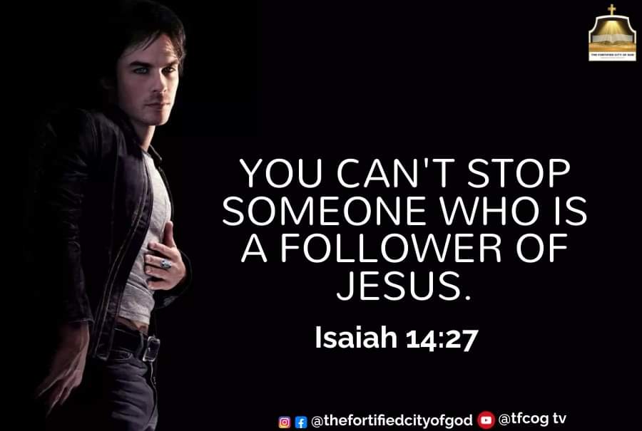 doyinbaks's tweet photo. You cannot be stopped when you are follower of Christ.
#morningcry #prayer #commandyourmorning #propheticdeclaration #prosperity #handofgod #christainreels #restoration #freedom #fyp #viral #faith #faithoverfear #jesusislord #overcomer #healing https://t.co/XuhcSwJHTi