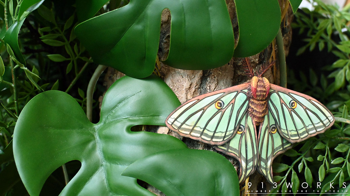 イザベラミズアオ 87mm 楽天市場】LLADRO リヤドロ イザベラミズアオ