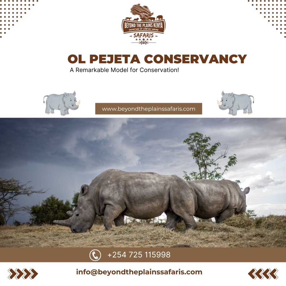 Beyondtheplains's tweet photo. Ol Pejeta Conservancy- A Remarkable Model for Conservation!

Visit our website https://t.co/WVMHPWmgtT

#OlPejetaConservancy #ConservationExcellence #HopeForWildlife #BlackRhinoSanctuary #SustainablePractices  #MountKenyaViews #WildlifeProtection https://t.co/TJPSMo2ncb