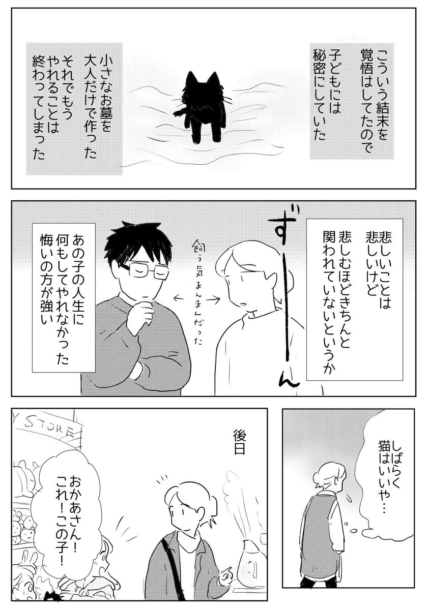 謎の組織NNN(2/2)🐈 (悲しい話です)