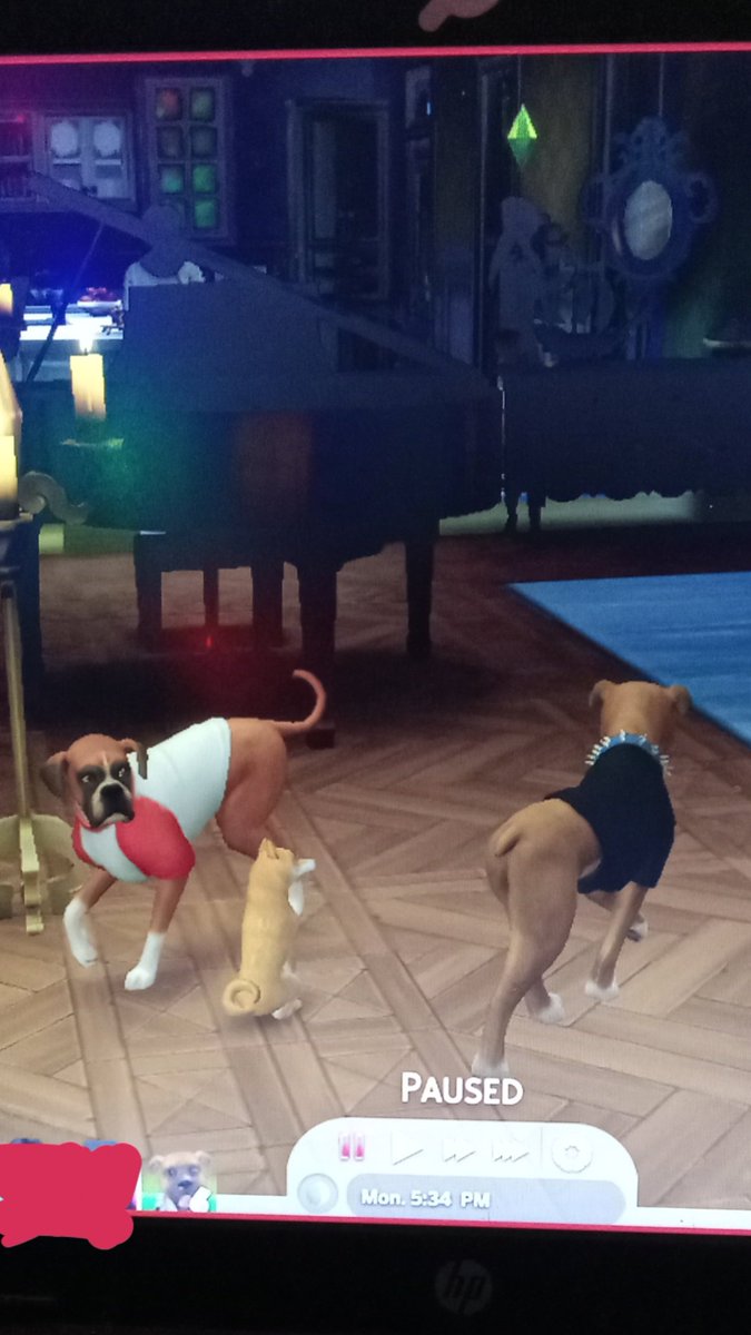 bingustoes's tweet photo. my fuckin partner and I are so slow. 

WE THOUGHT OUR DOG (the dog in black) CHANGED SHIRTS AFTER ROUNDING THE CORNER BUT DIDN'T SEE IT WAS A WHOLE OTHER DOG. WITH A TAIL. we're bad pet owners in the sims bruh- also peep the THIRD LITTLE DOG?? WHERE'S THAT COME FROM?? https://t.co/765bidclvn
