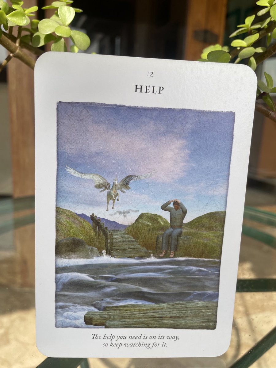 General Message from the Unicorn cards

“The help you need is on its way, so keep watching for it”. 

DM to schedule a personal reading. 

#divination #unicorncards #help #hope #divineintervention #faith #patience #blessings #shahanasen #tarotreader #wellness #kolkata