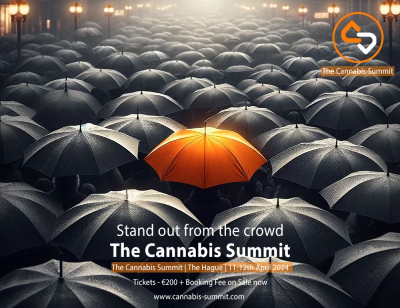 The Cannabis Summit tweet media