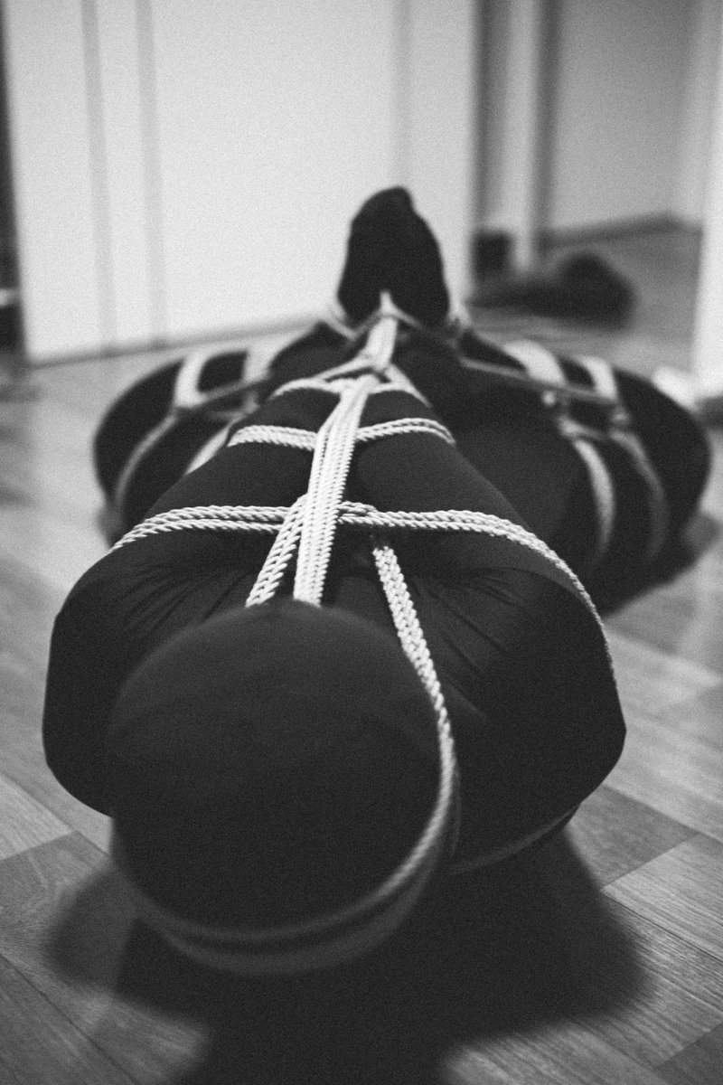 🐶：<a href="/fengdi2017/">Alan</a>