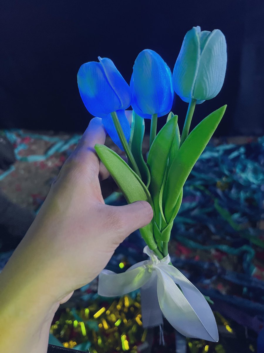 PastlifeLurker's tweet photo. I hope you saw my tulips for you yesterday, Mark. You’re loved. You make us proud 💙🌷#BlueTulipsForMark https://t.co/eBgUUPy2LO