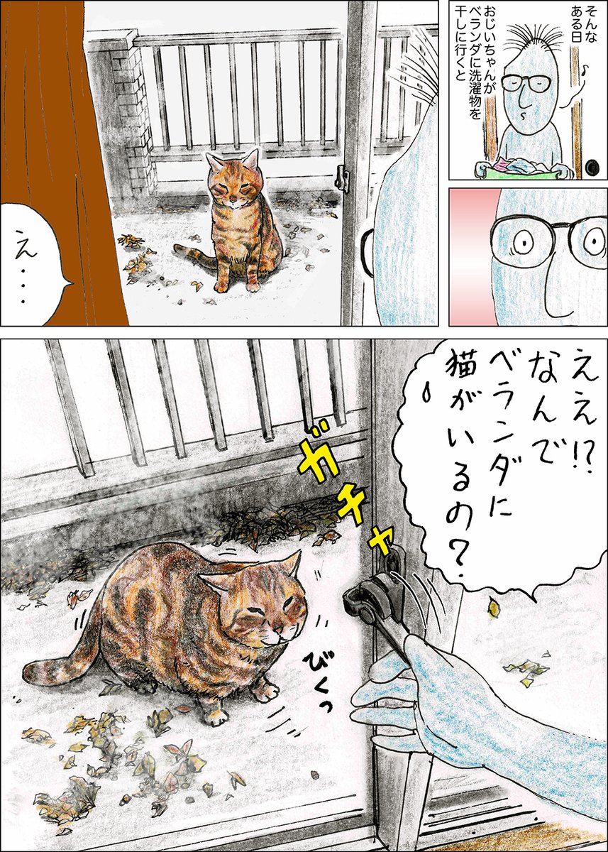 や、どうも。 じゅうりょくにさからえるねこがいることはしってるよ。 俺はズン姐さんがくうちゅうでユータンしたところを2かいみたことがあるよ。