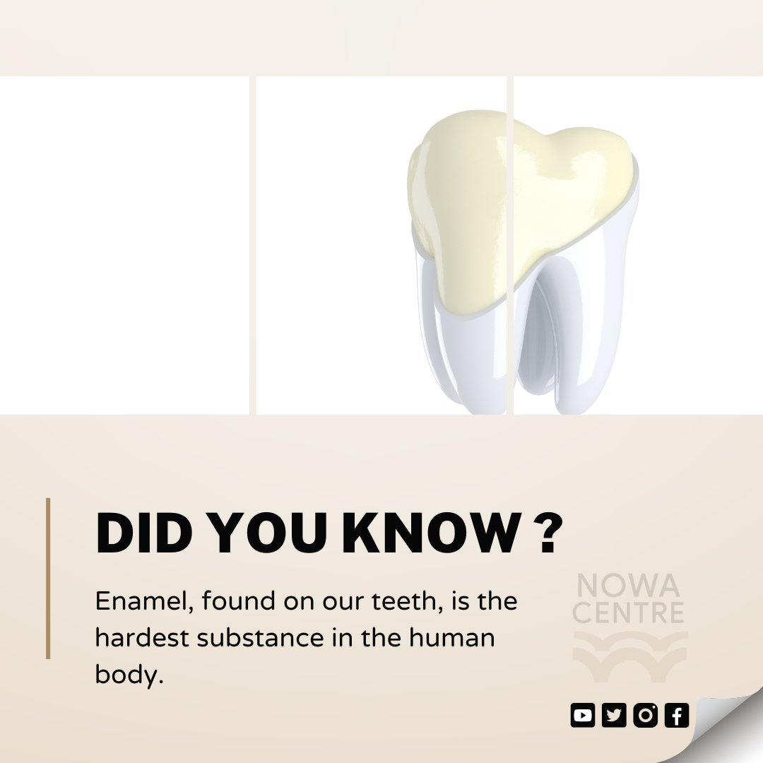 nowacentre's tweet photo. (1/3) Did you know that enamel, the outermost layer of our teeth, is the hardest substance in the human body? It is even harder than our bones!

Enamel is a thin, translucent layer that covers the crown of our teeth and protects them from damage caused by everyday wear and tear, https://t.co/f997xjgFOu