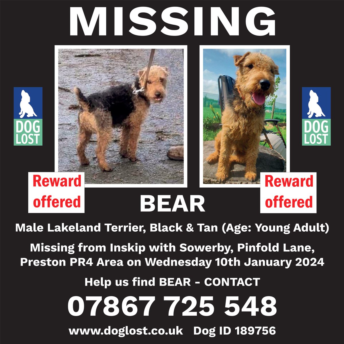 Hi all, 

We've spotted Bear has gone missing and want to help reunite him with his owner. We'd really appreciate if you could keep an eye out for this little guy!

#BringBearHome