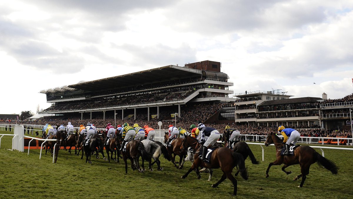 Road To Cheltenham tweet media