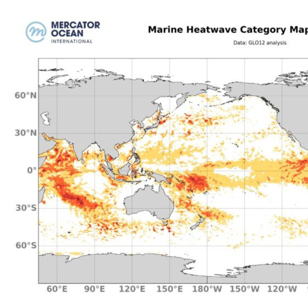 Mercator Ocean International présente le DTO lors du Colloque Mer