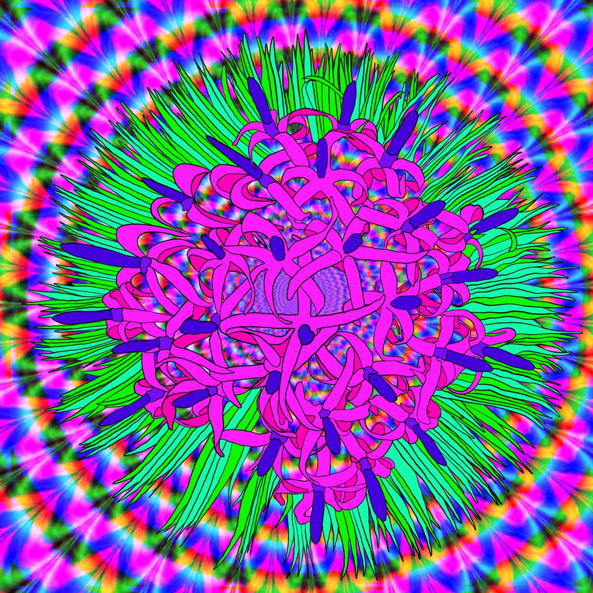 Psychedelic Flowers - 4.3