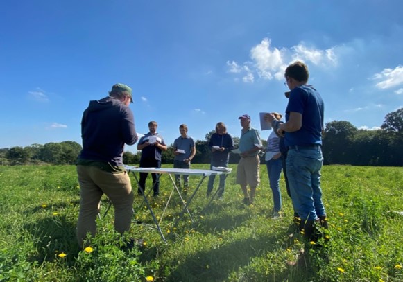 ☘🌿 Formation à l'outils #Perpet pour animer un collectif sur les #prairies et leur vieillissement 🐄🐂🐑🐐 👉🏼 à Jalogny (71) Ferme de Jalogny 👉🏼 début octobre 👉🏼 idele.fr/detail-formati… 👋 @InstitutElevage @ReseauCivam @AFPF_FrPrairie