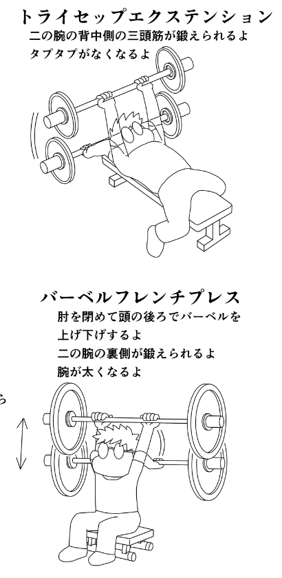 今日のトレ
前夜飲み会で午前様だったので早朝ジョギングなし
マシンスクワット50k10,60k10,70k10,80k7,100k3
クランチ前左右各40x3
トライセップエクステンション20k10,30k10x3,35k10,7,6
バーベルフレンチ10k10,20k10x3
ケーブルプレスダウン30k10x3
70分
#筋トレ #ダイエット 