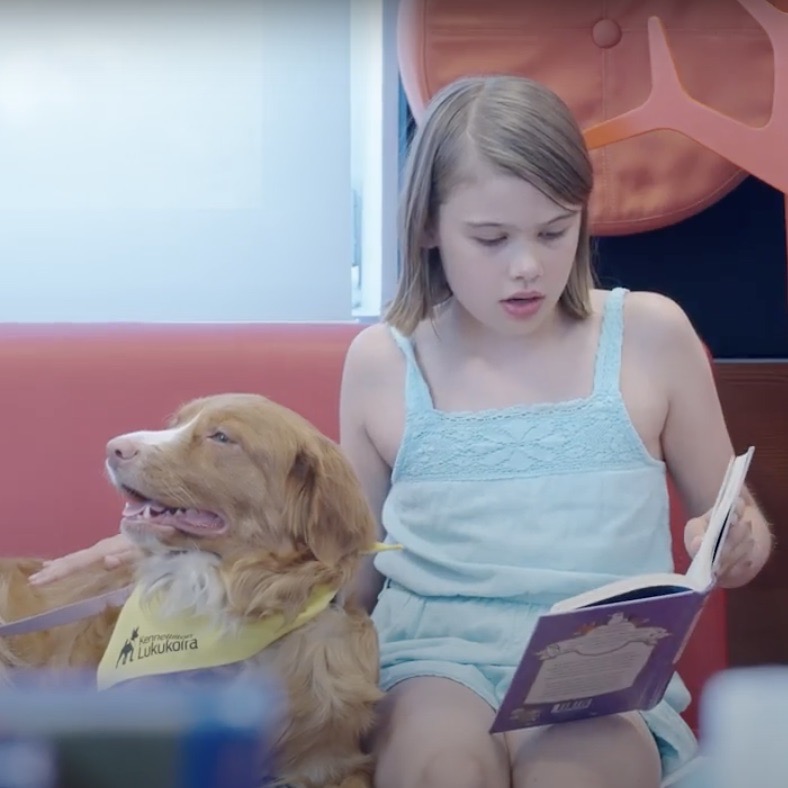 Hei #kirjastoammattilaiset, #luokanopettajat ja kaikki muut, joita #lukukoira'toiminta saattaisi kiinnostaa! Poimi Lukukoirakko kirjastossa -webinaarin videoista onnistuneen lukutuokion rakennuspalikat ja #lukuvinkit! 🐾📚💕
👉 kirjastokaista.fi/tietoa-ja-tuke…
#lukeminen #kirjat #kirjasto