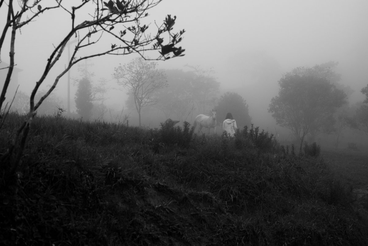 The title “Into the Trees" is a reference to the song by Hope Sandoval &amp; the Warm Inventions.

In a world consumed by chaos, noise, abundance of information and technology let be there peace and quietness.

Photo by <a href="/LastLeafAutumn/">Bruno Mello</a> x Dis/Connected on <a href="/joynxyz/">Joyn</a>