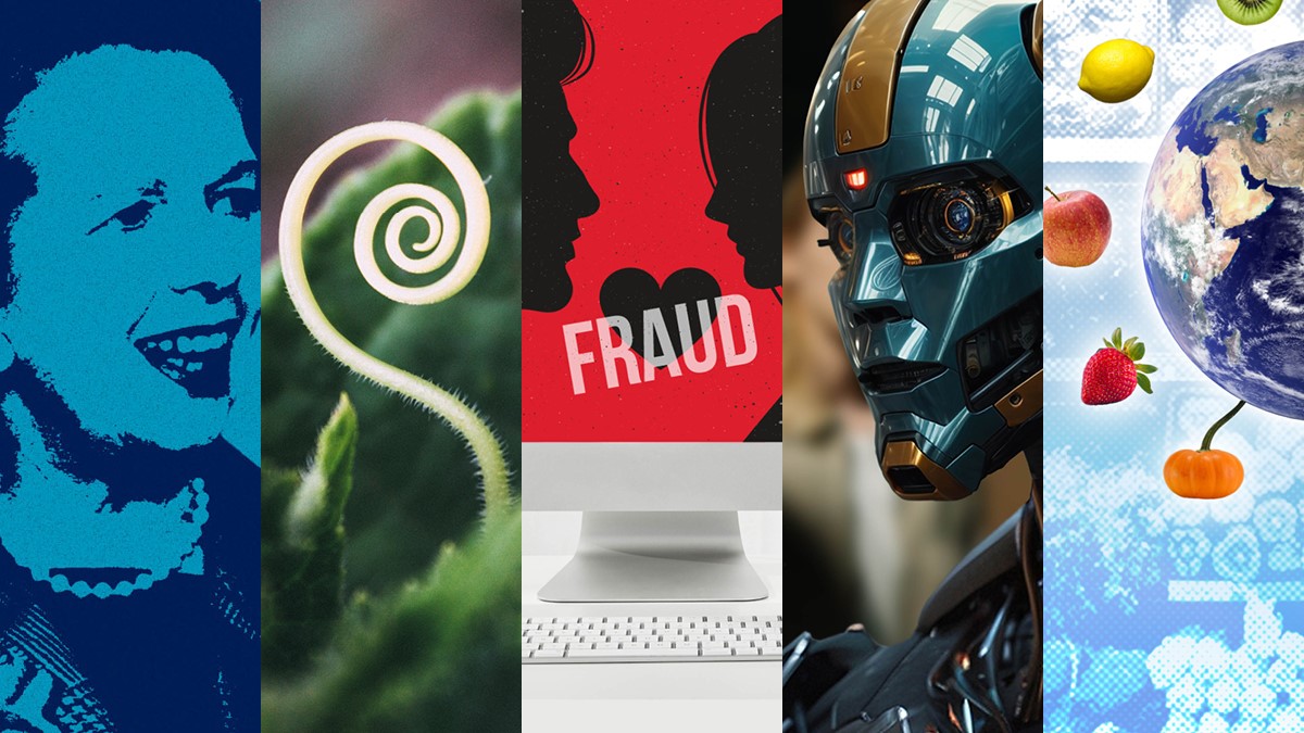 How can we promote sustainable #food choices?🥙 Are British #politics mirroring the failings of Soviet socialism? 🗳 And what does the way we feel about #robots say about us? 🤖
 
Our latest #LSEResearchForTheWorld magazine has the answers – read it now 📚
lse.ac.uk/research/resea…