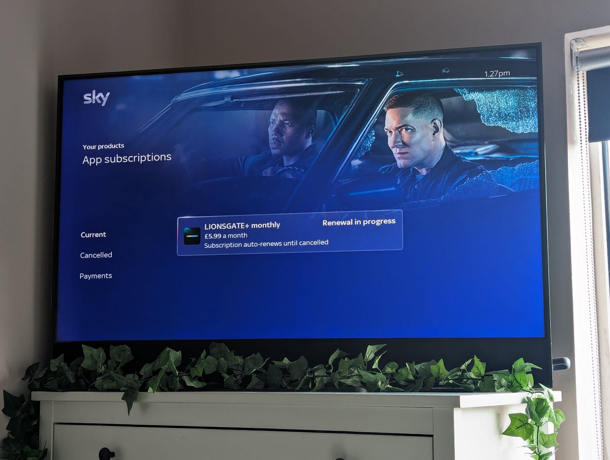 Lorelai Vennard tweet media