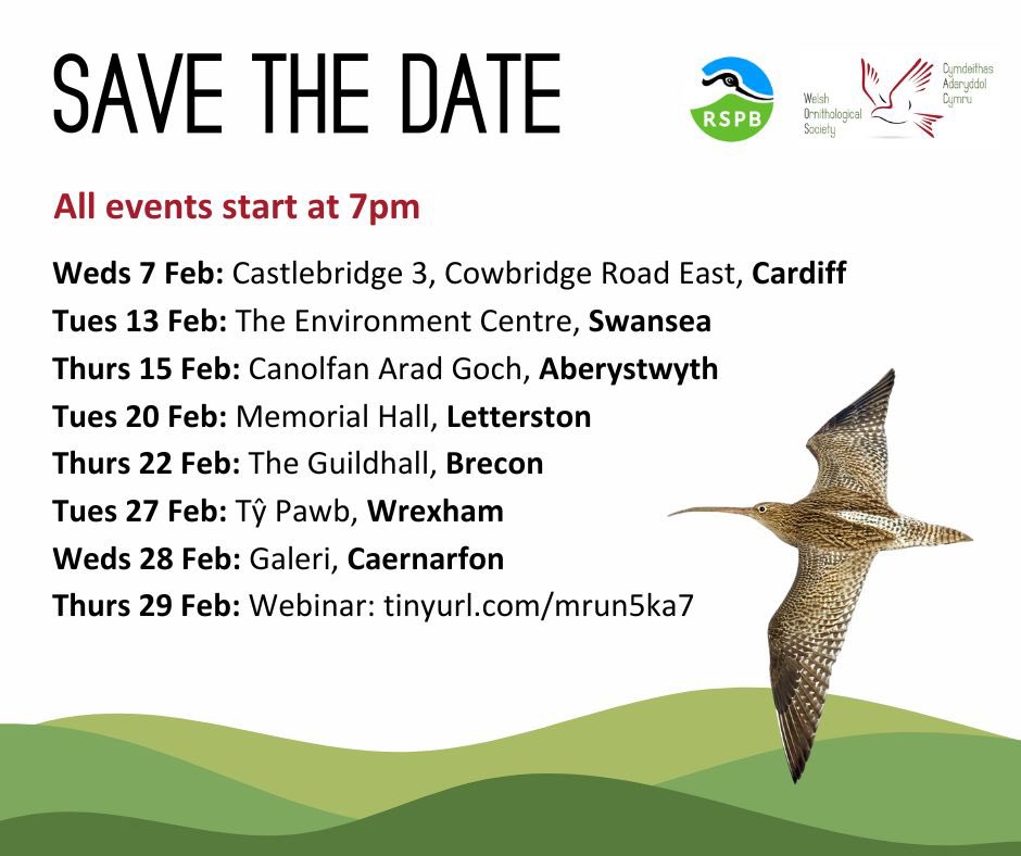 “If you only do one thing for Welsh wildlife in 2024…please do this” 
Iolo Williams - President

birdsin.wales/an-urgent-mess…