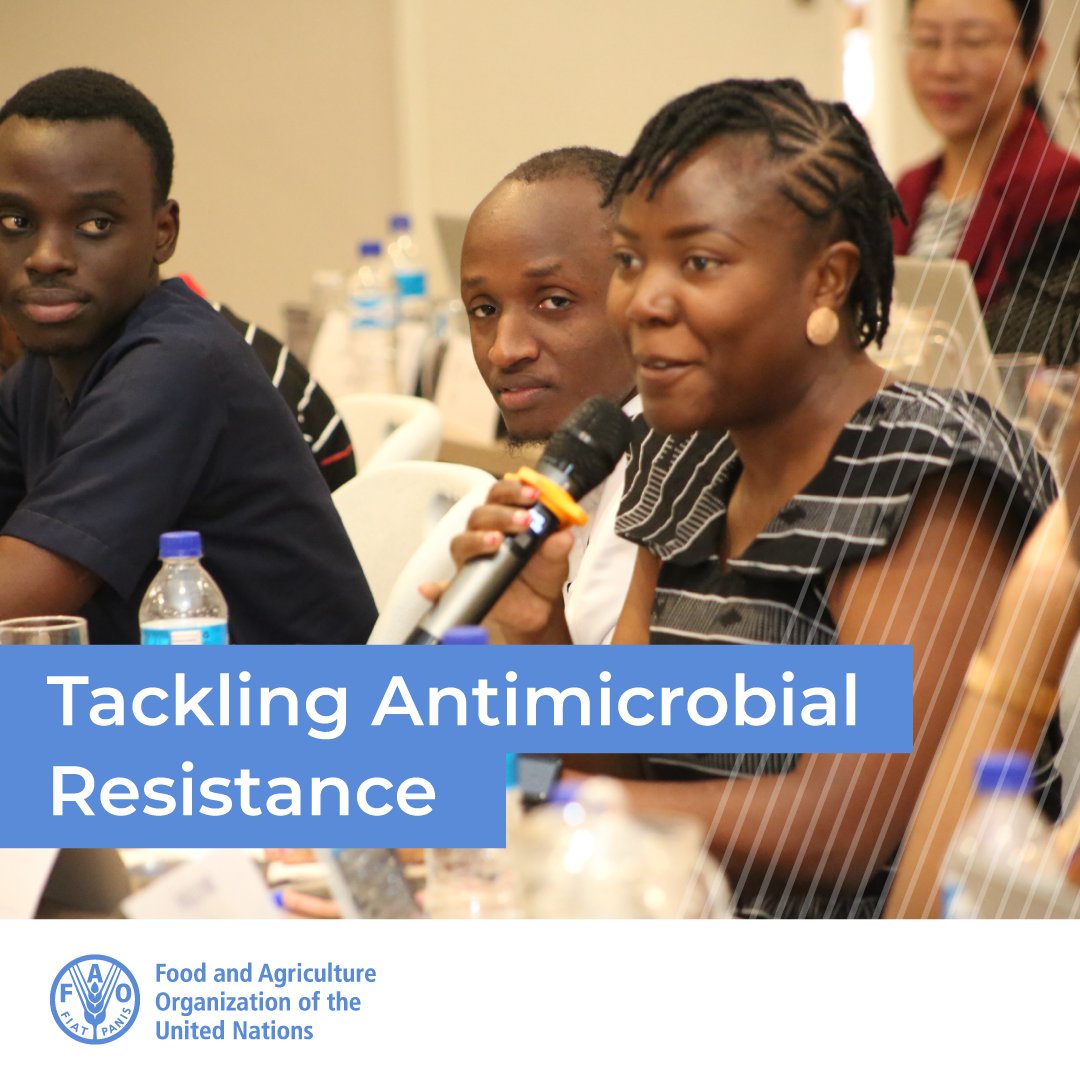 Youth engagement is pivotal in addressing the global challenge of #AntimicrobialResistance.

Read more ▶️ bit.ly/48PyNXu