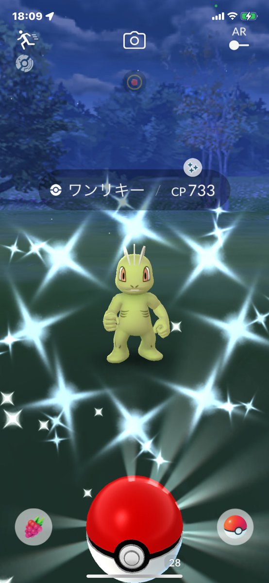 erimamannn's tweet photo. こんばんわーい＼(^o^)／
＃ポケモンGO ＃ポケモンGO色違い ＃色違い ＃ワンリキー https://t.co/6MjrSKESDJ