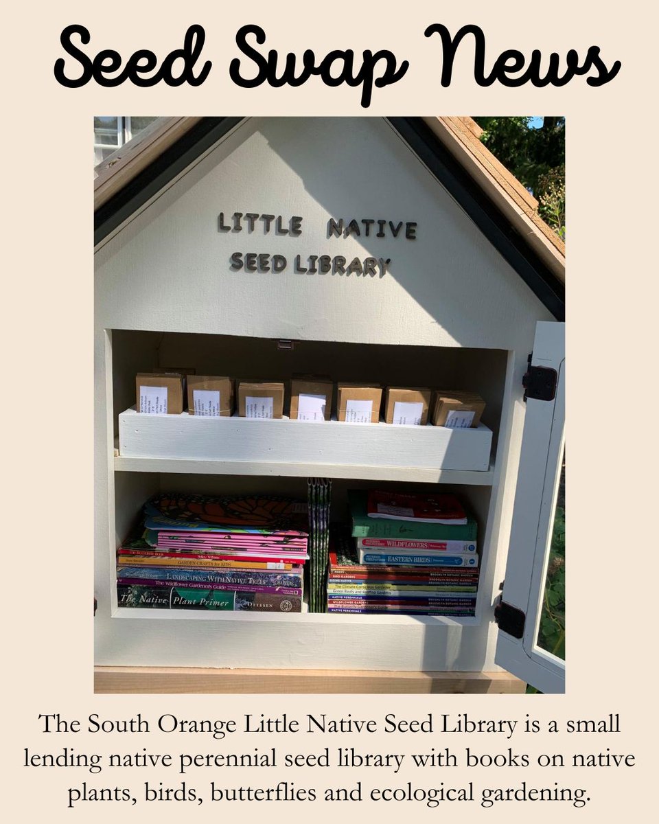 Cheers to Jessica, the eco-hero of #SouthOrangeNJ, for sparking change with the Little Native Seed Library! 🌱 Find eco-gardening conversation in the Flagship Native Seed Library Facebook Group. 🌿 #SeedSwap #CommunityAction #PlantforPollinators  #NationalSeedSwapDay