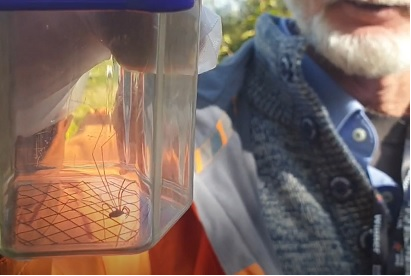 PMAG Learning tweet media