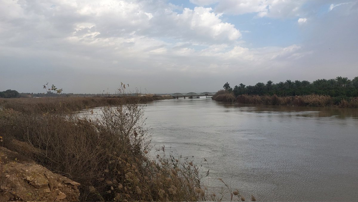Although I am biased to #Euphrates, to be honest, #Tigris is also a beautiful river 😊. 
 📸 taken this afternoon,  northern of #Baghdad.