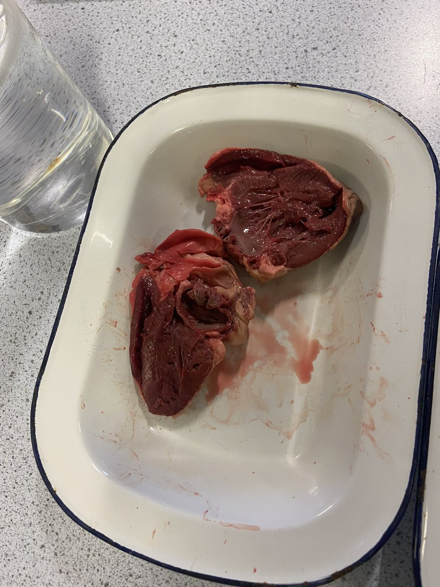 Gospel Oak Year 10 tweet media