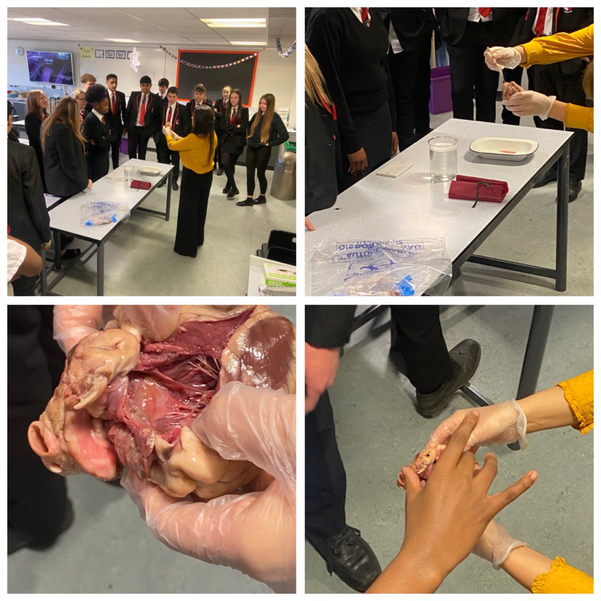 Gospel Oak Year 10 tweet media