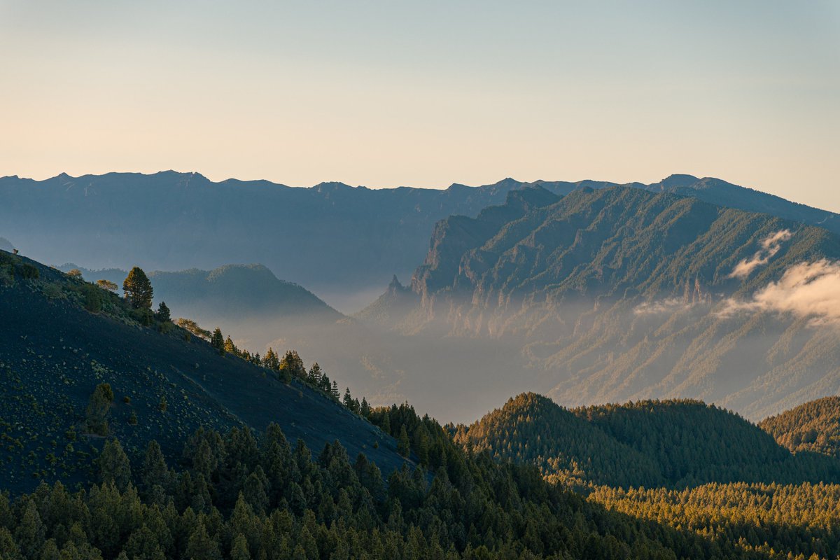 LaPalmaFilm's tweet photo. | LOCALIZACIONES ÚNICAS |
📸 Pintorescos rincones en paisajes rurales desde donde contar historias evocadoras.

La Palma es #elescenarioqueestásbuscando

📸 @robtures

@LaPalmaFilm @CabLaPalma @sodepal @visitalapalma #cine #lapalmafilmcommission #rodarencanarias #Canarias https://t.co/7mJMh2euU1