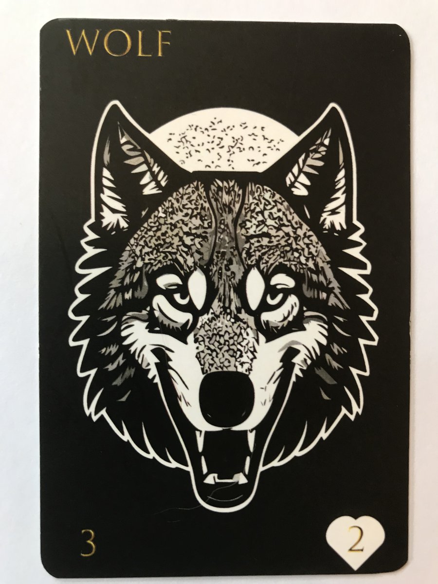 Vitaluna tweet media