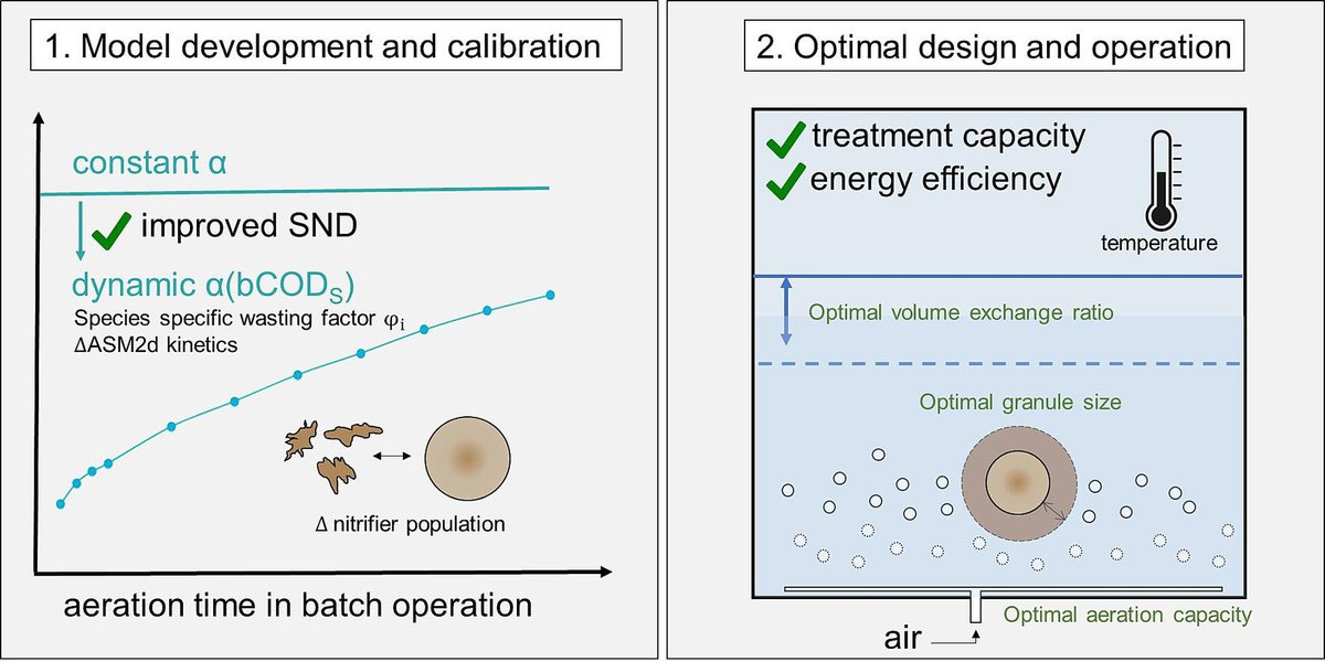 New paper presenting the first 1-D #AGS model including oxygen transfer dynamics, calibrated to a full-scale #Nereda plant. 
Oxygen transfer dynamics... 
✅influence model structure 
✅can be exploited to optimize reactor performance

➡️sciencedirect.com/science/articl…

#Bioco_UGent