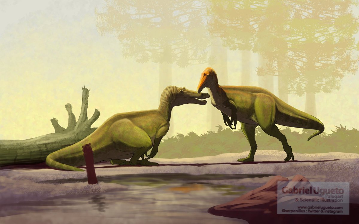 SerpenIllus's tweet image. I worked on this concept sketch of Riparovenator this morning as my warmup but I couldn’t finish it. I am not feeling it, I think I’ll scratch it and do something different