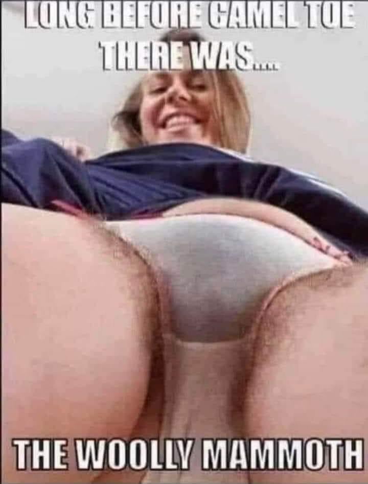 BeardedBallsack's tweet photo. https://t.co/l2cExqzMv1
