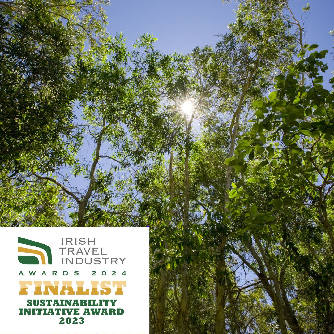 Travel Department (@traveldept) on Twitter photo We’re delighted to be finalists in the <a href="/ITAATweets/">Irish Travel Agents Association</a> Sustainability initiative awards category at the Irish Travel Industry Awards!
Follow our sustainability journey here: traveldepartment.com/about-us/susta…
#ITAA #IrishTravelAwards We’re delighted to be finalists in the <a href="/ITAATweets/">Irish Travel Agents Association</a> Sustainability initiative awards category at the Irish Travel Industry Awards!
Follow our sustainability journey here: traveldepartment.com/about-us/susta…
#ITAA #IrishTravelAwards