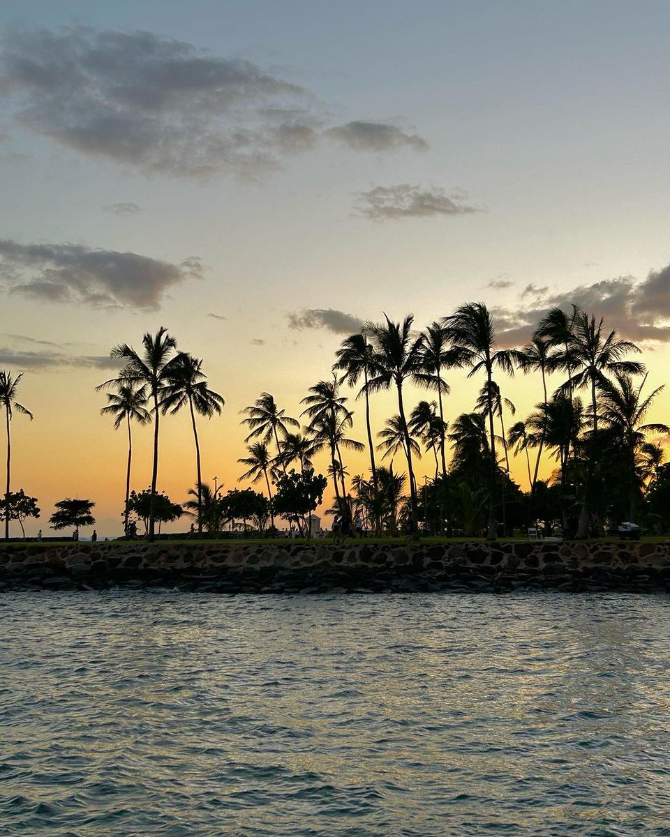 호놀롤루, 마우이, 빅아일랜드 모두 여행하고 돌아왔어요 ㅎㅎ 누드비치도 갔다왔구요 😎 백인 초대남은 정말정말 상상한것보다 크더라구요😣 #초대남 #커플만남